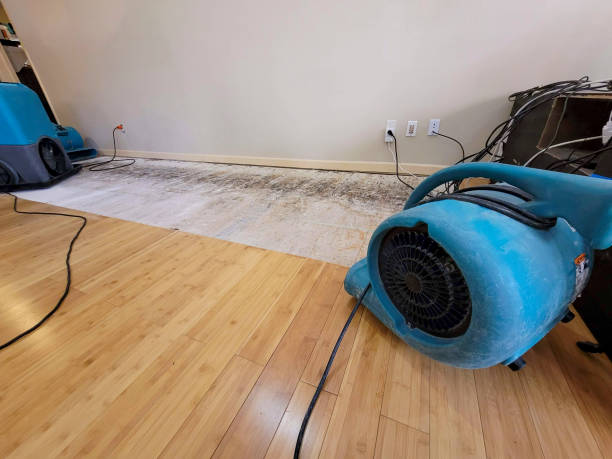 Professional Flood Damage Cleanup technician working in Pearl, MS